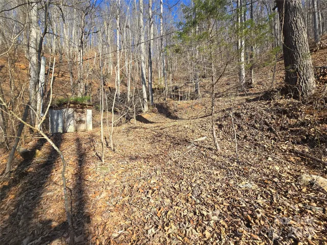 a view of yard with trees