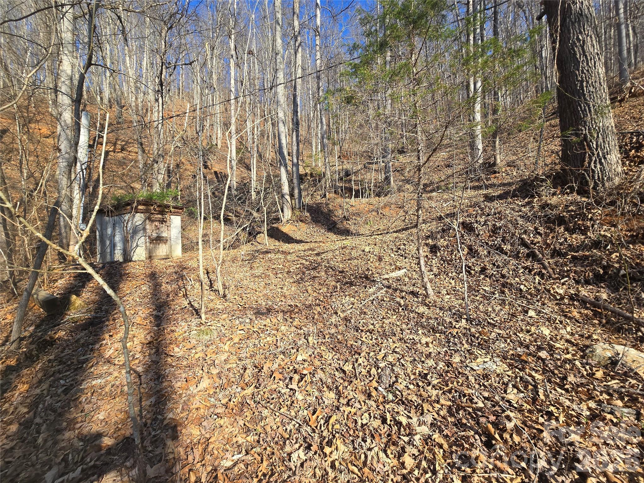 32 Black Mountain Road Cullowhee, NC 28723 - Photo 5 of 11