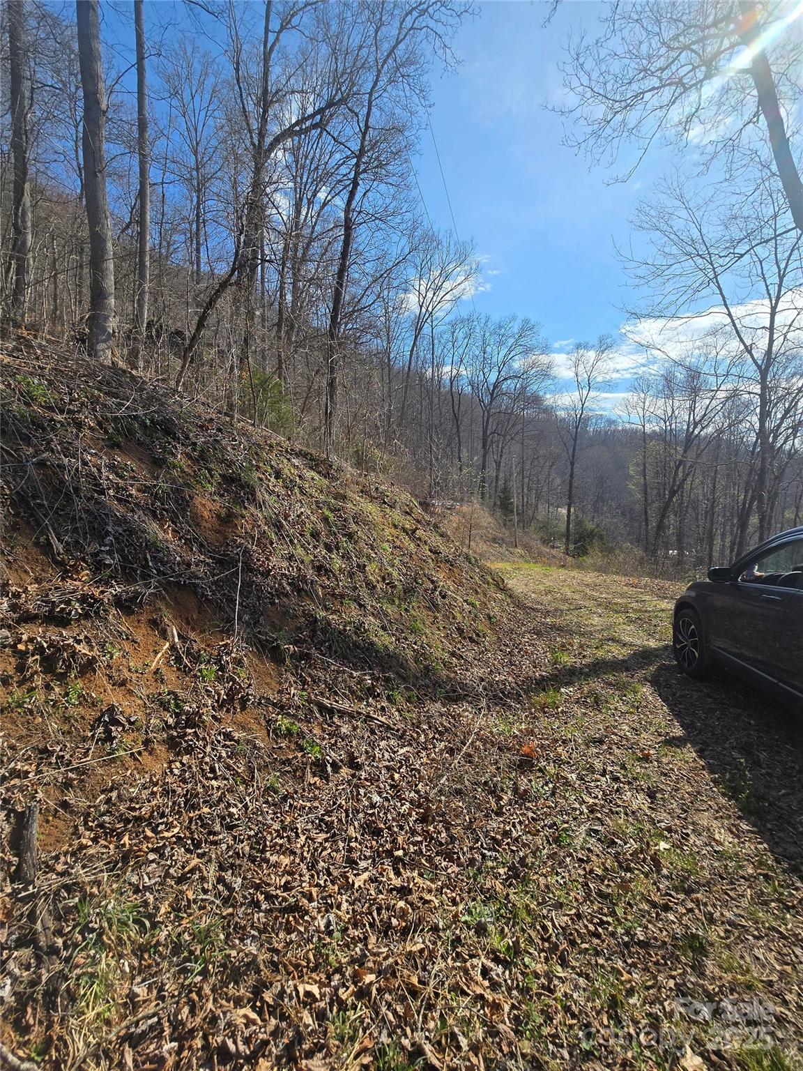 32 Black Mountain Road Cullowhee, NC 28723 - Photo 6 of 6 a view of a backyard