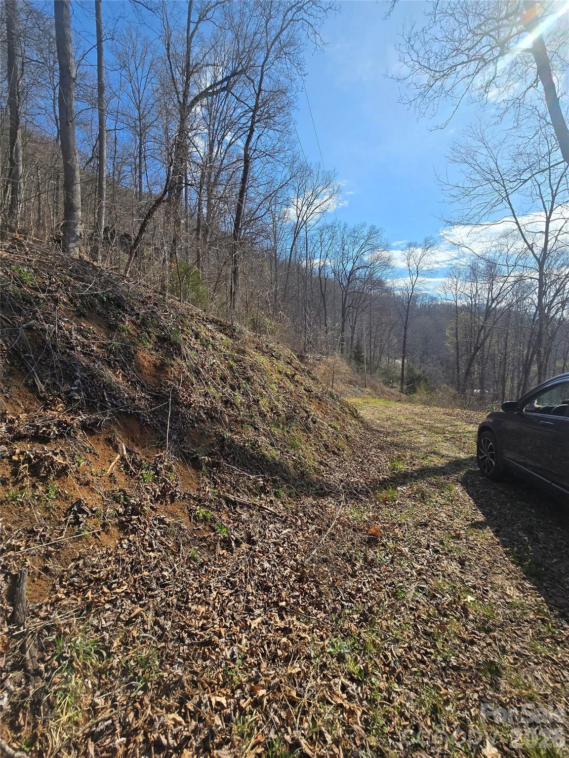 32 Black Mountain Road Cullowhee, NC 28723 - Photo 6 of 11