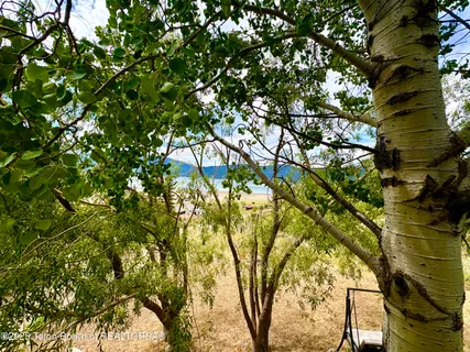 $849,000 | 189 Choke Cherry Lane, Irwin, ID 83428