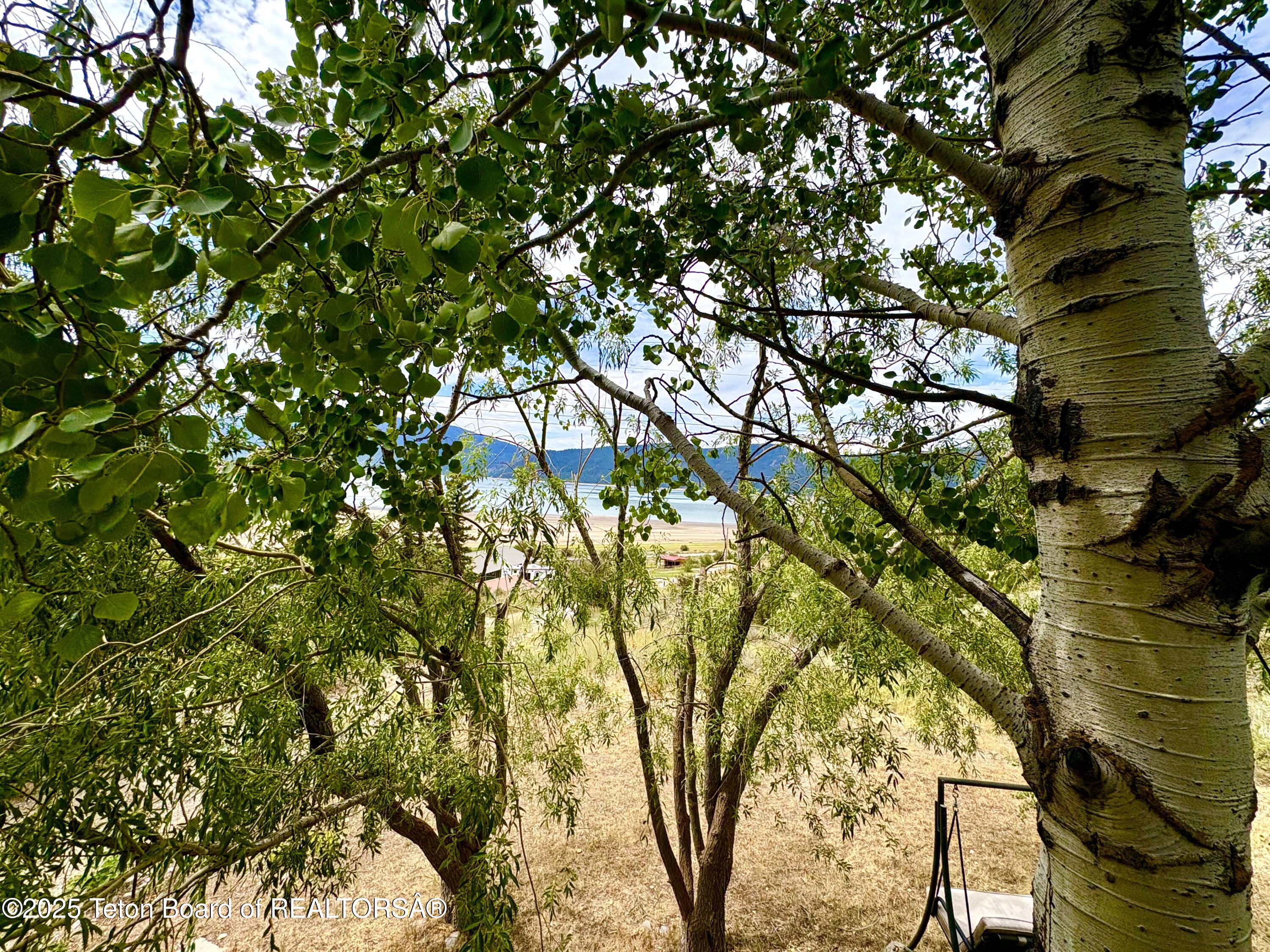 189 Choke Cherry Lane Irwin, ID 83428 - Photo 34 of 64 View Off Balcony