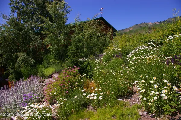 $849,000 | 189 Choke Cherry Lane, Irwin, ID 83428