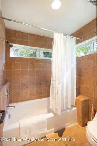 a bathroom with a shower and a toilet