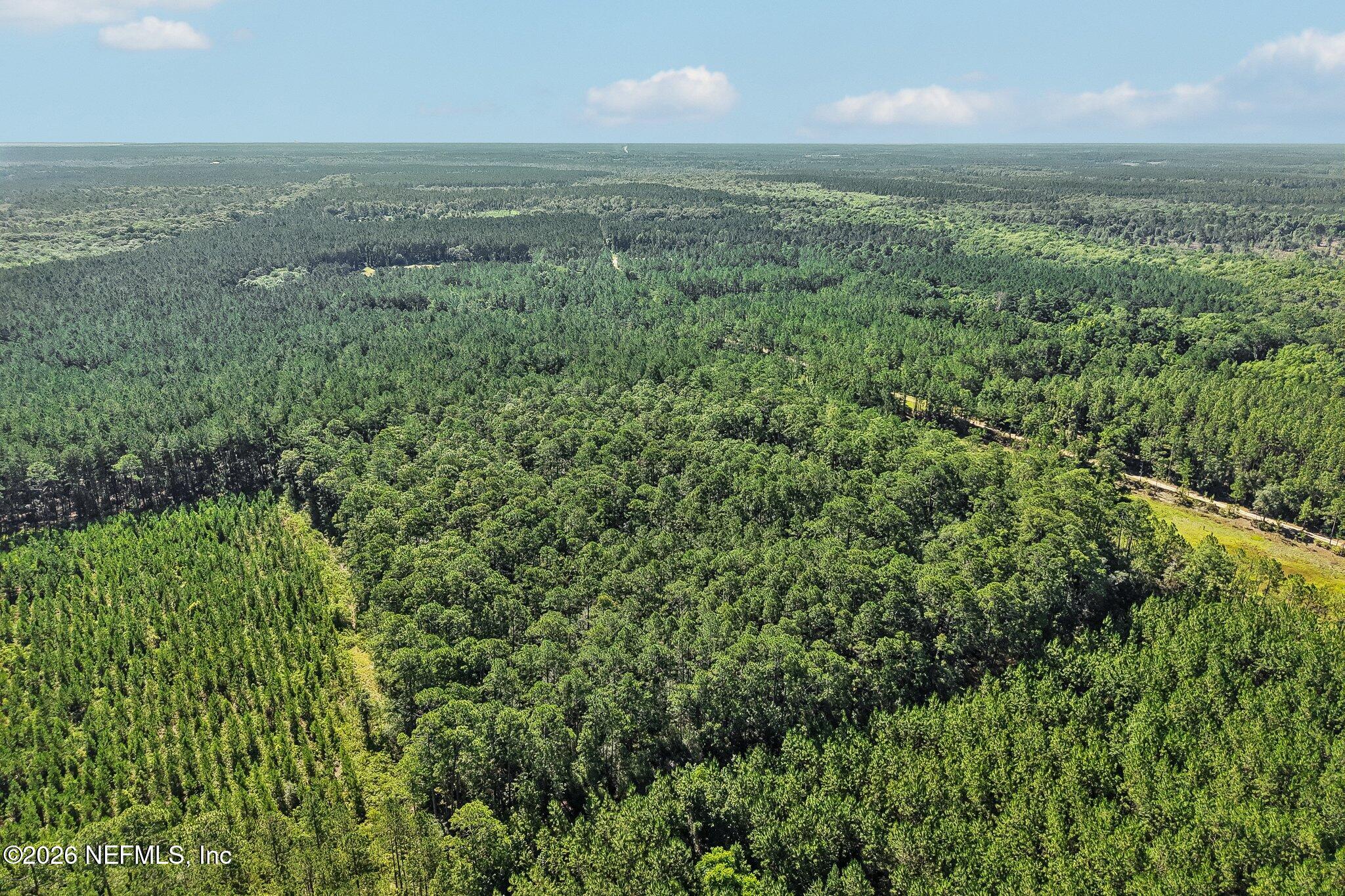 0 Coopers Neck Road Hilliard, FL 32046 - Photo 13 of 15 12-web-or-mls-Coopers Neck Rd-S2506-011