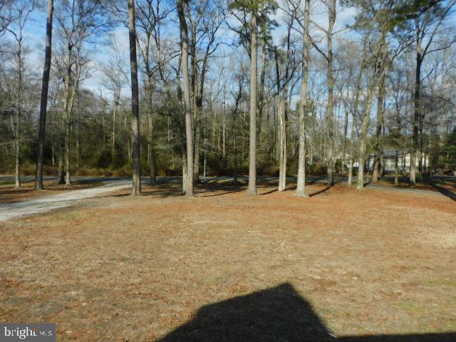 35987 Cobbs Hill Road Willards, MD 21874 - Photo 17 of 35 Large Front Yard