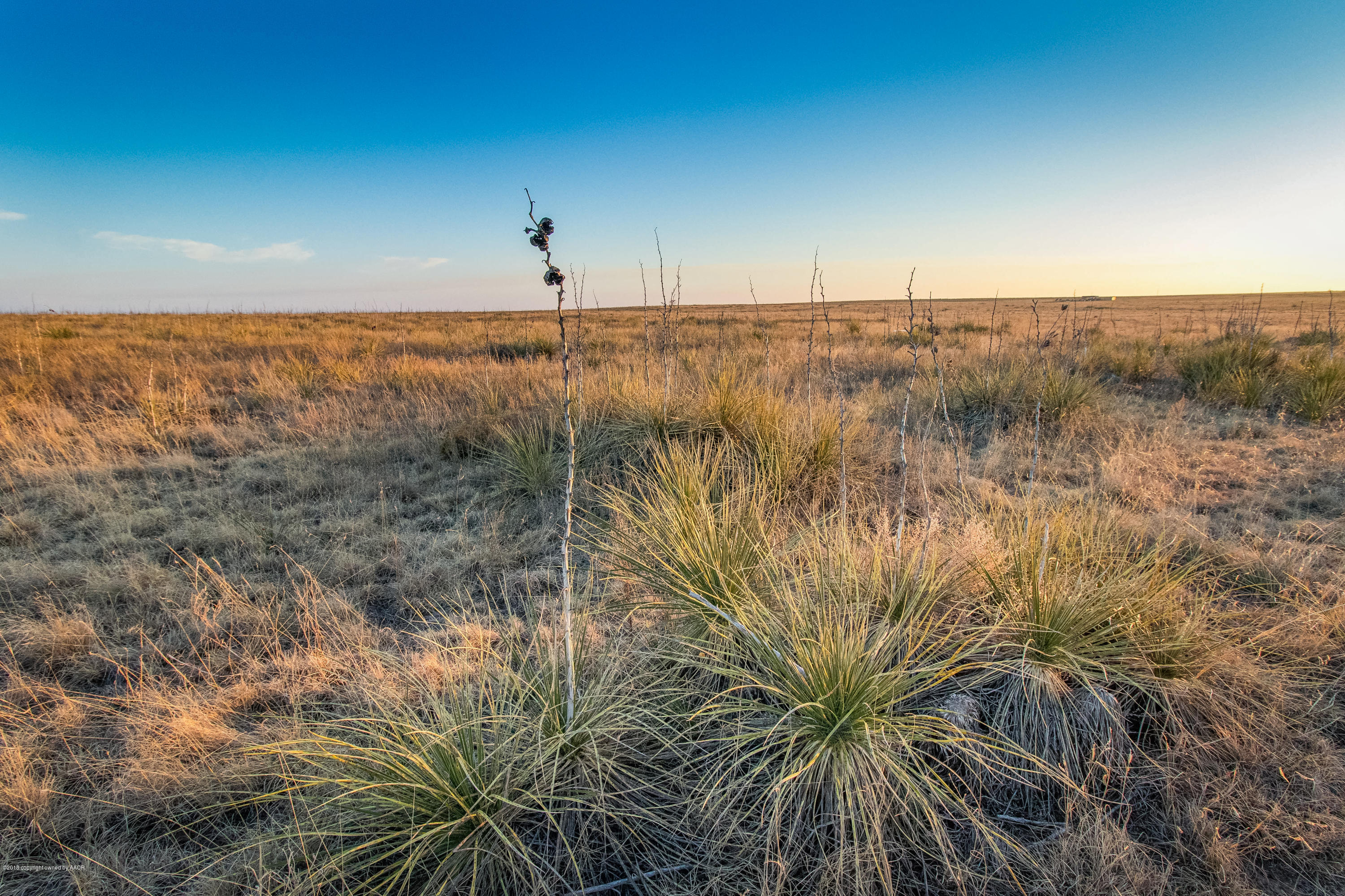 3 Burtz Road Canyon, TX 79015 - Photo 5 of 14 003