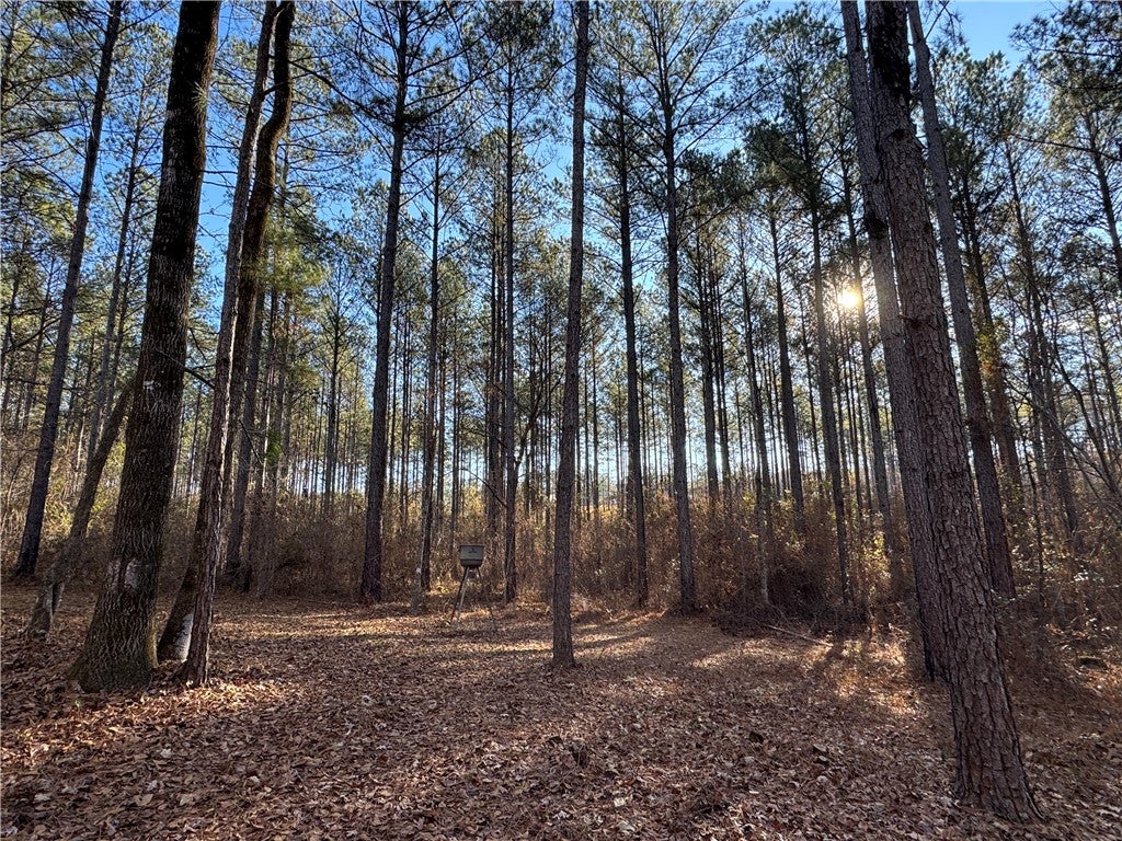0 Farmville Road Camp Hill, AL 36850 - Photo 29 of 35 Gallery Image 29