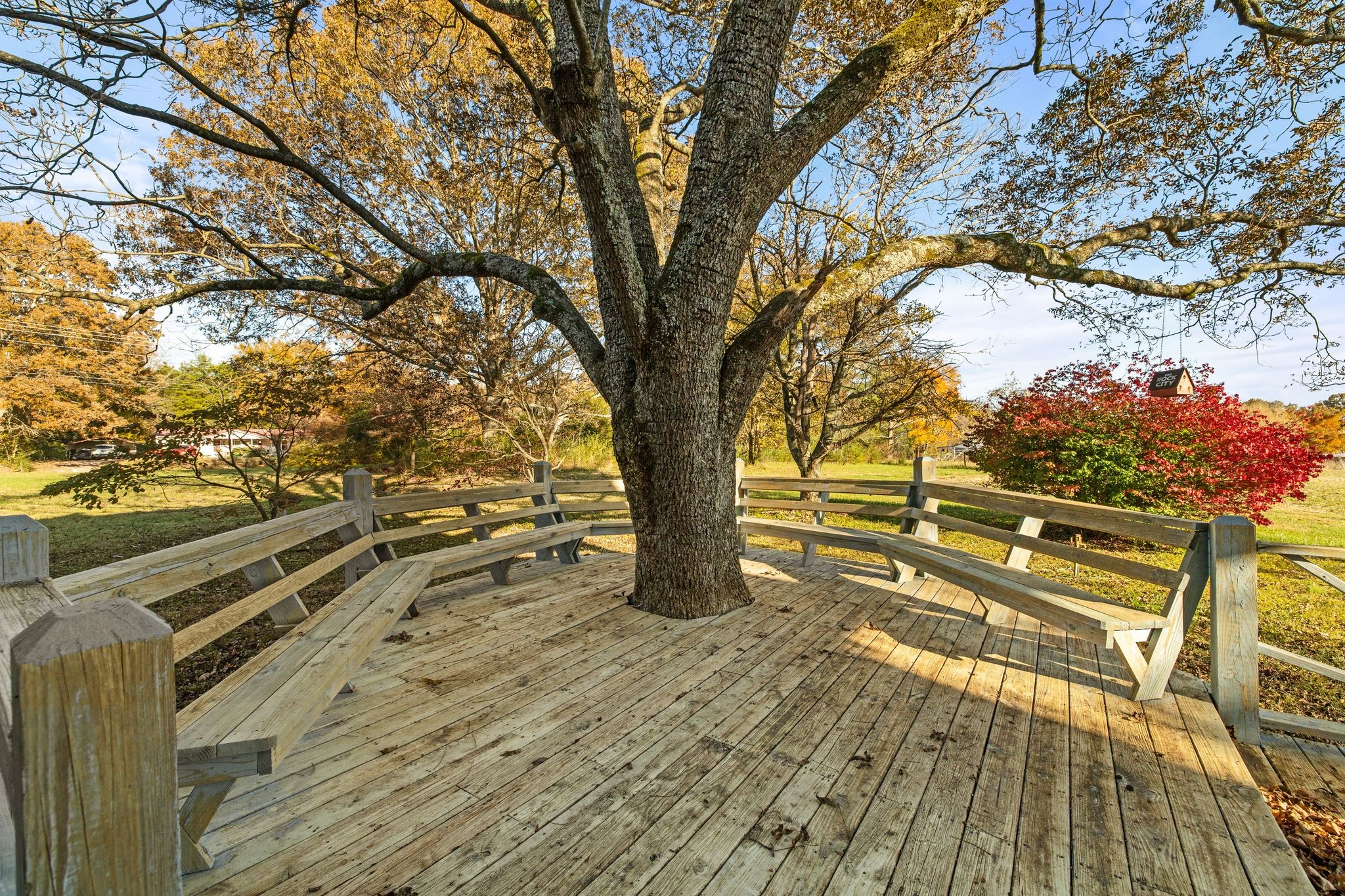 2301 Rock Creek Road Estill Springs, TN 37330 - Photo 46 of 65 a view of a yard