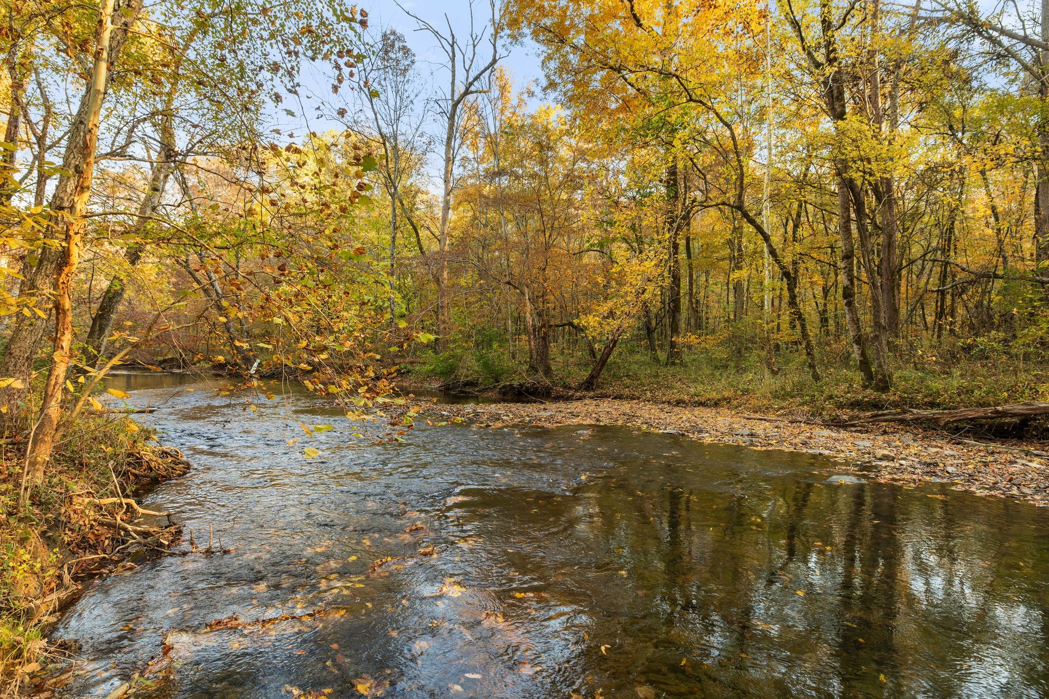2301 Rock Creek Road Estill Springs, TN 37330 - Photo 55 of 65