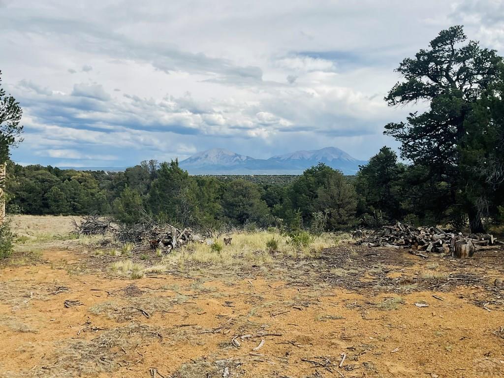 Lot 17 Navajo Ranch Walsenburg, CO 81089 - Photo 19 of 26 a view of a yard with an trees