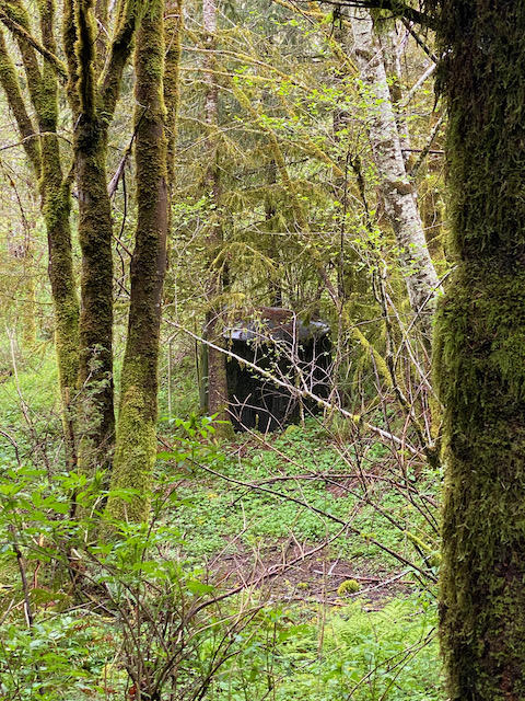 109 Trask River Road Tillamook, OR 97141 - Photo 17 of 21 IMG_7993