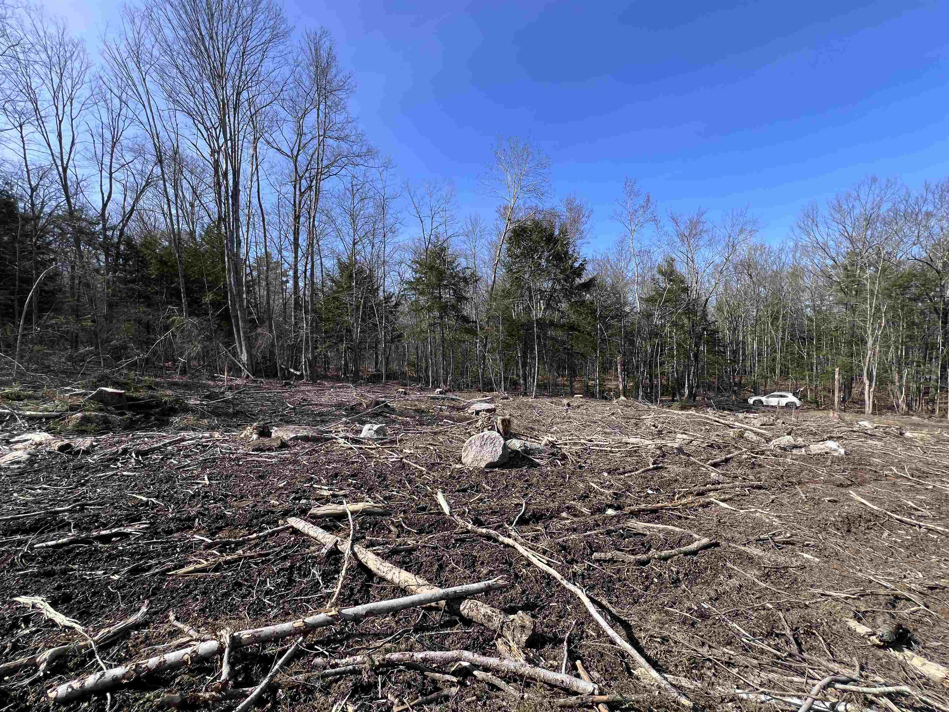 Lot 14 Northeast Pond Road Milton, NH 03851 - Photo 6 of 12