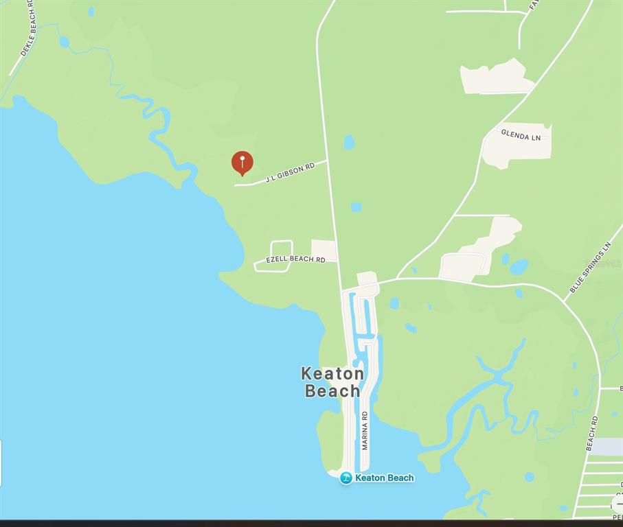 1750 J L Gibson Road Perry, FL 32348 - Photo 5 of 36