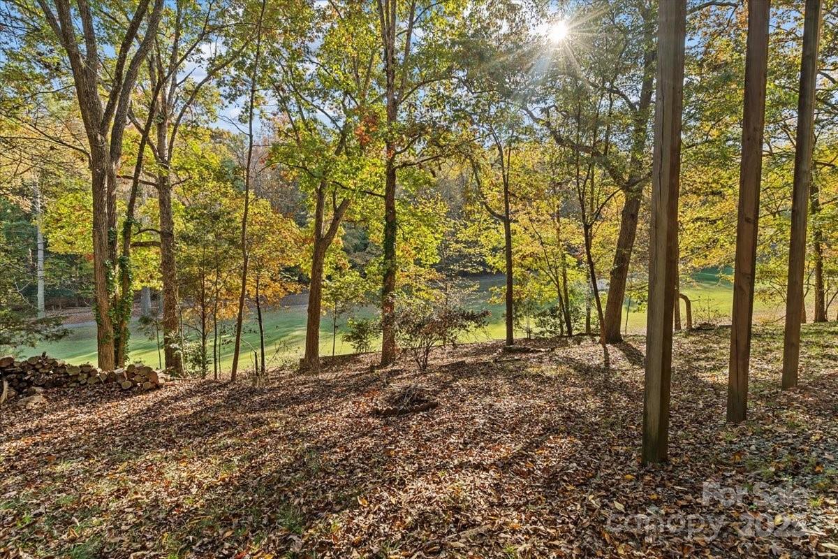 5084 Mariana Court Tega Cay, SC 29708 - Photo 25 of 33 a view of outdoor space with lots of trees