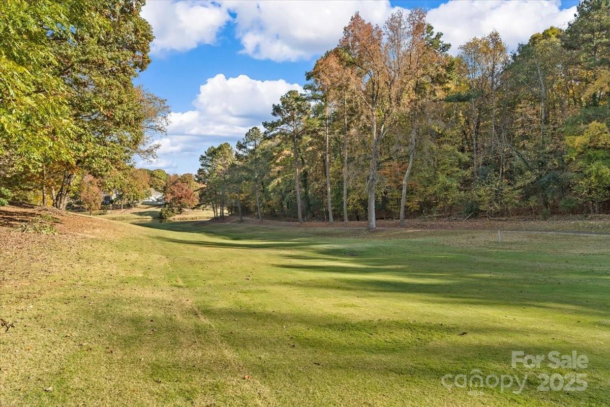 5084 Mariana Court Tega Cay, SC 29708 - Photo 26 of 33 a view of a fountain is middle in the water