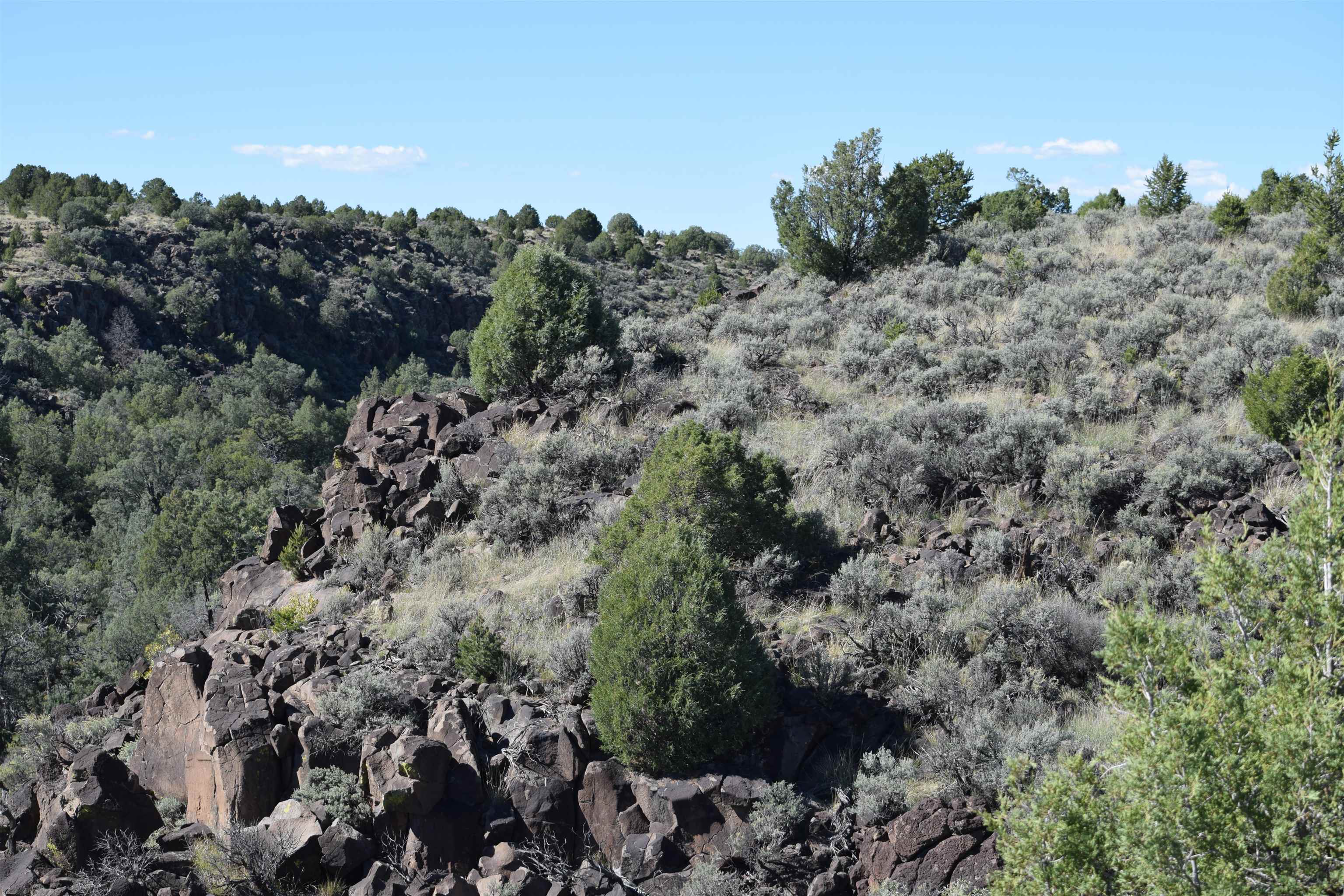 Matisse Road Carson, NM 87517 - Photo 24 of 29
