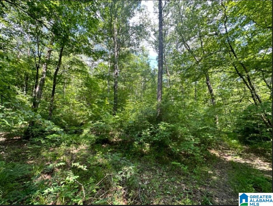 0 County Road 224, Unit 1 Fruithurst, AL 36262 - Photo 9 of 13