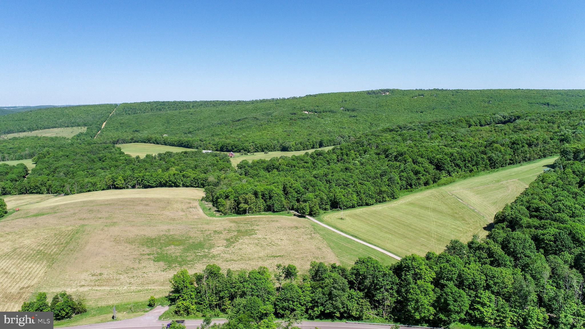 5-acres Chestnut Ridge Road Grantsville, MD 21536 - Photo 11 of 16