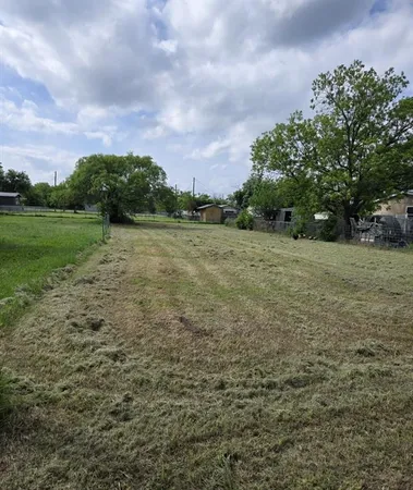 a view of a big yard with plants and large trees