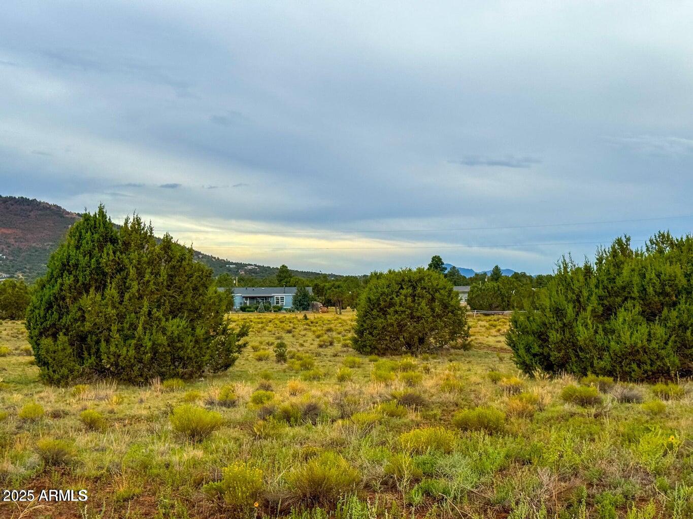 890-908 Hoctor Road Williams, AZ 86046 - Photo 13 of 17 a view of a garden