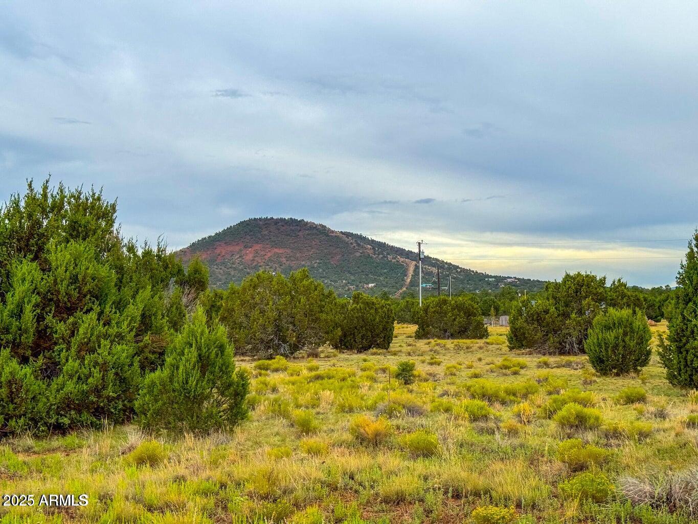 890-908 Hoctor Road Williams, AZ 86046 - Photo 14 of 17 a view of outdoor space and mountain view