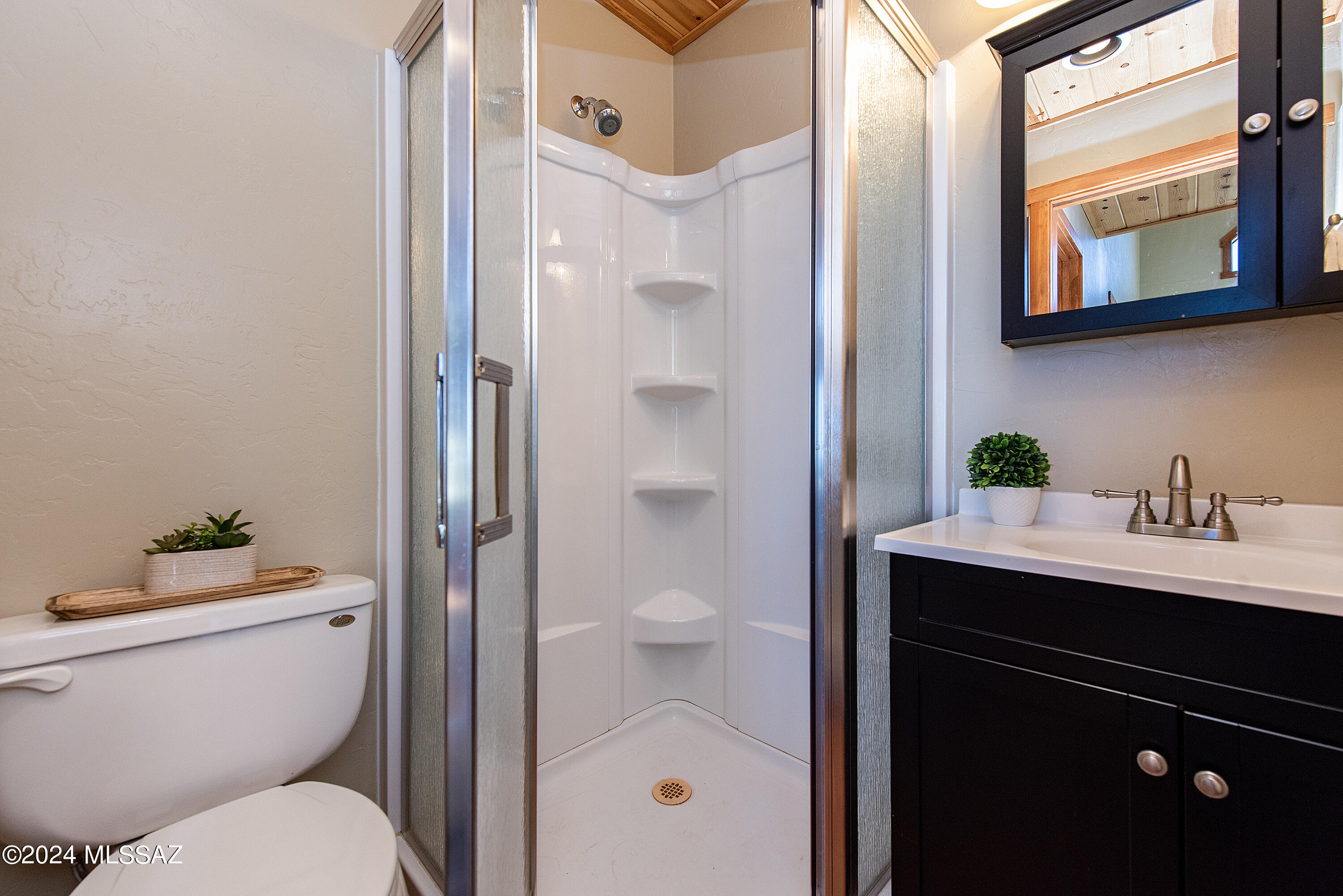12063 North Fern Ridge Tucson, AZ 85739 - Photo 36 of 46 Shower/Vanity