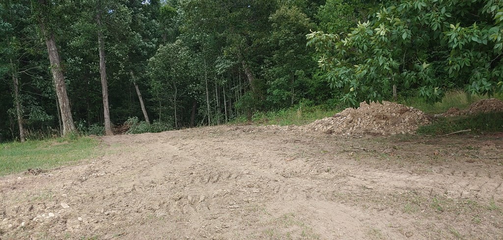 1030 Big Neck Road Grandview, TN 37337 - Photo 23 of 54 Gallery Image 23