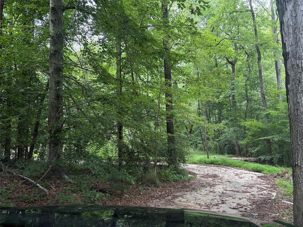 4824 Flakes Mill Road Ellenwood, GA 30294 - Photo 3 of 10 Gallery Image 3