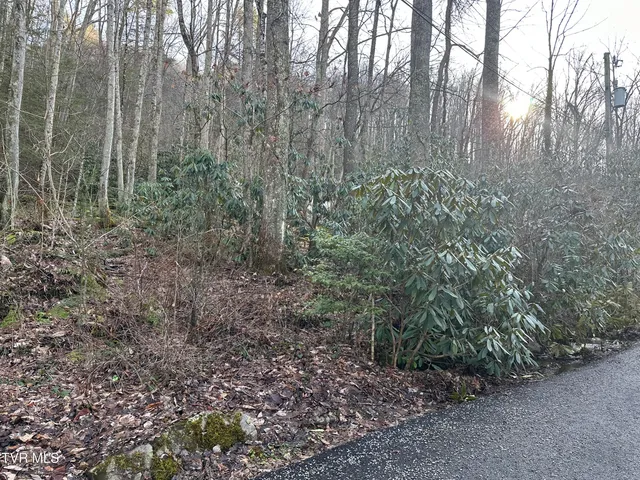 $20,000 | Tbd Southeast Tbd Se 1st Street, Norton, VA 24273