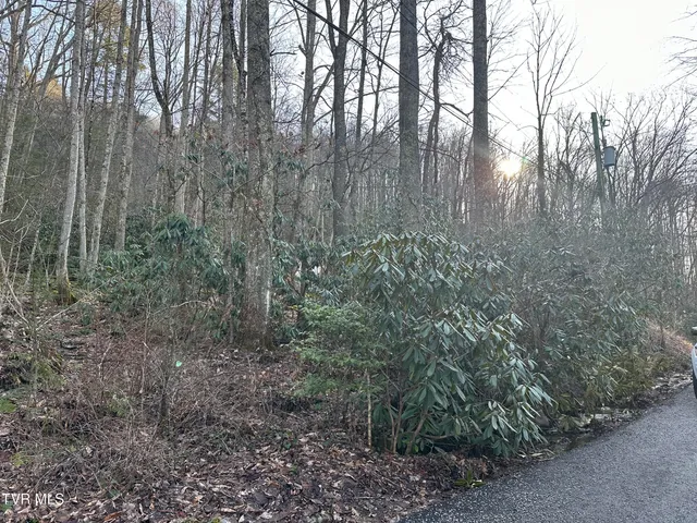 $20,000 | Tbd Southeast Tbd Se 1st Street, Norton, VA 24273