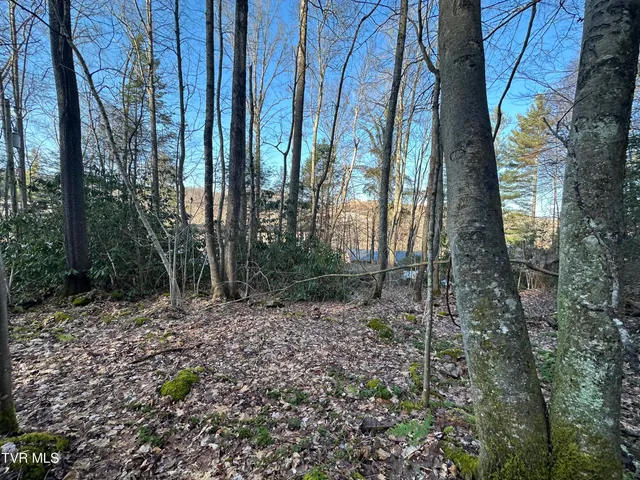 $20,000 | Tbd Southeast Tbd Se 1st Street, Norton, VA 24273