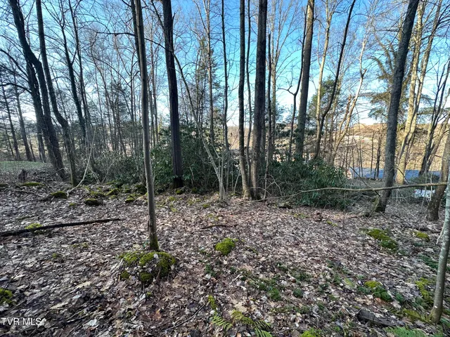 $20,000 | Tbd Southeast Tbd Se 1st Street, Norton, VA 24273