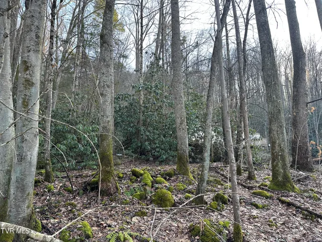 $20,000 | Tbd Southeast Tbd Se 1st Street, Norton, VA 24273