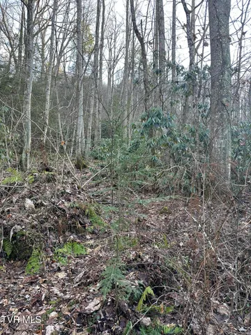 $20,000 | Tbd Southeast Tbd Se 1st Street, Norton, VA 24273