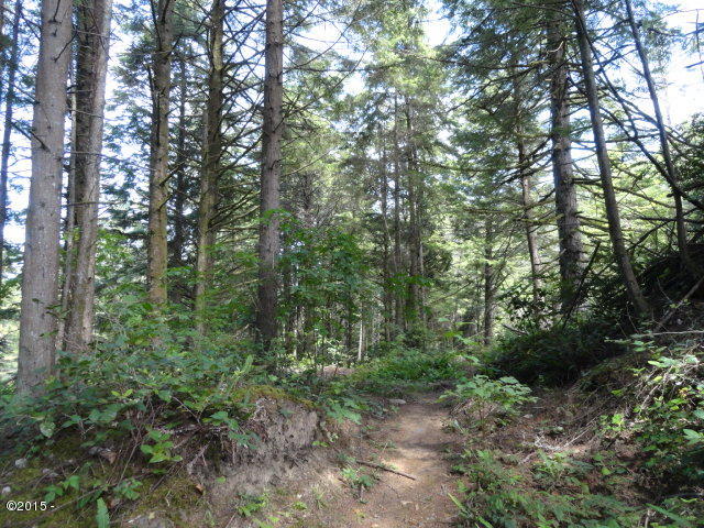 Tx # 102 Tx Road Seal Rock, OR 97376 - Photo 1 of 1 Lot