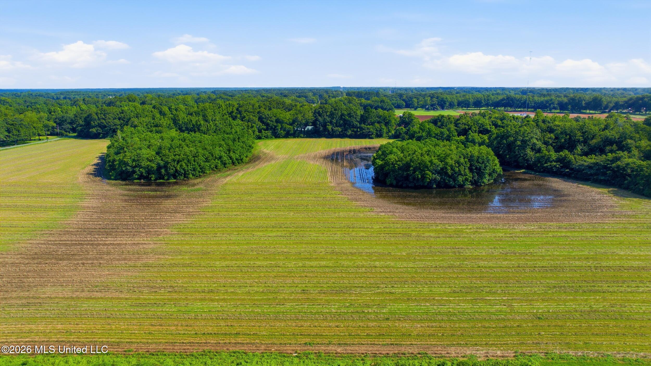 28-acres Harmon Pope Road Lucedale, MS 39452 - Photo 17 of 43 dji_20260628001050_0106_d