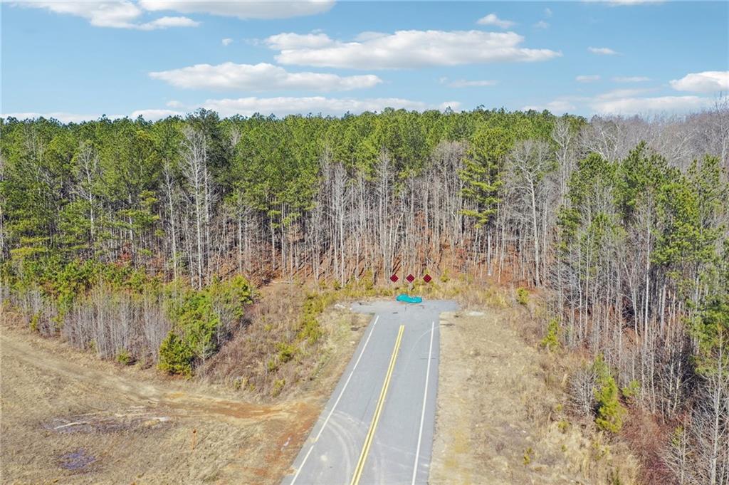 762 Harbins Road Dacula, GA 30019 - Photo 17 of 18 a view of a yard with an trees