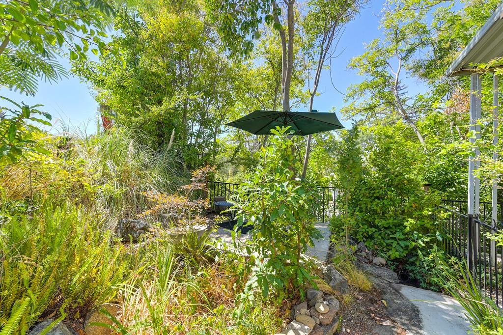 6374 Brodie Drive Newcastle, CA 95658 - Photo 45 of 50 a view of a garden