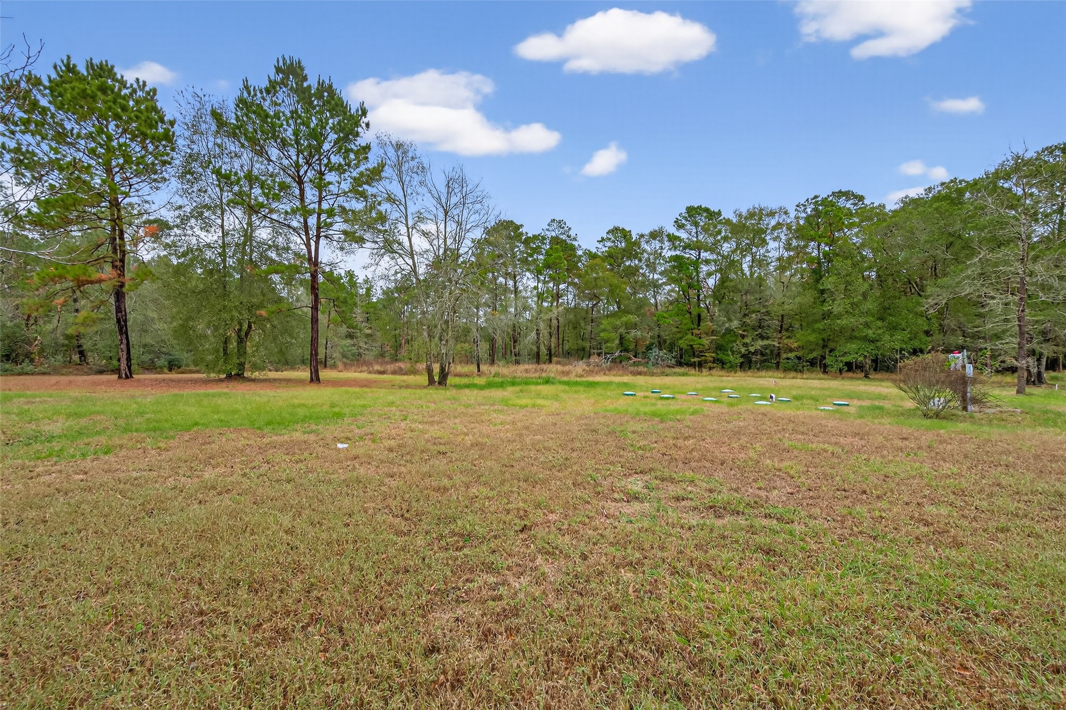 11497 Coon Hollow Road Conroe, TX 77306 - Photo 16 of 45 a view of a green field