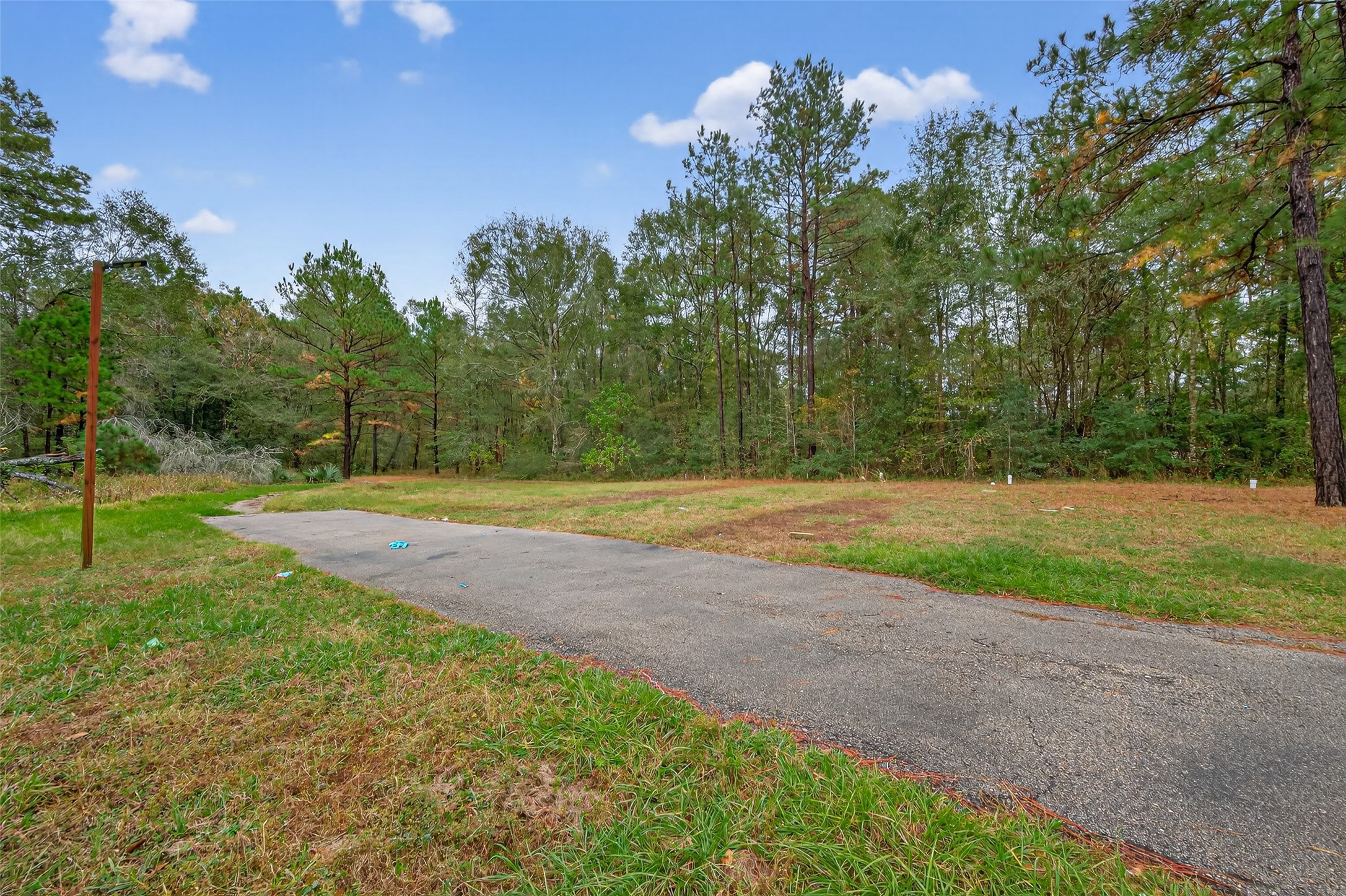 11497 Coon Hollow Road Conroe, TX 77306 - Photo 20 of 45 a view of a yard