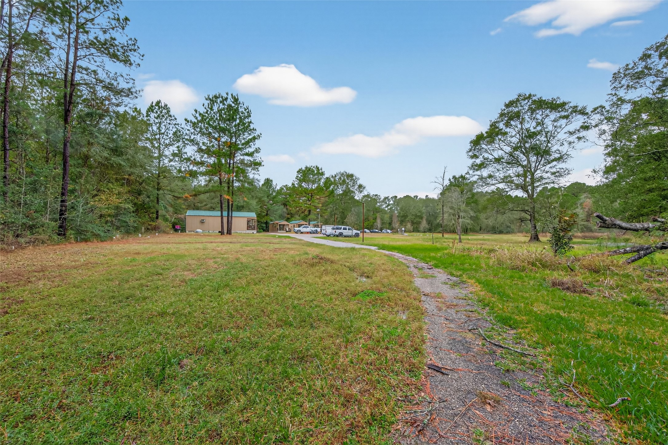 11497 Coon Hollow Road Conroe, TX 77306 - Photo 22 of 45 a view of grassy field with trees