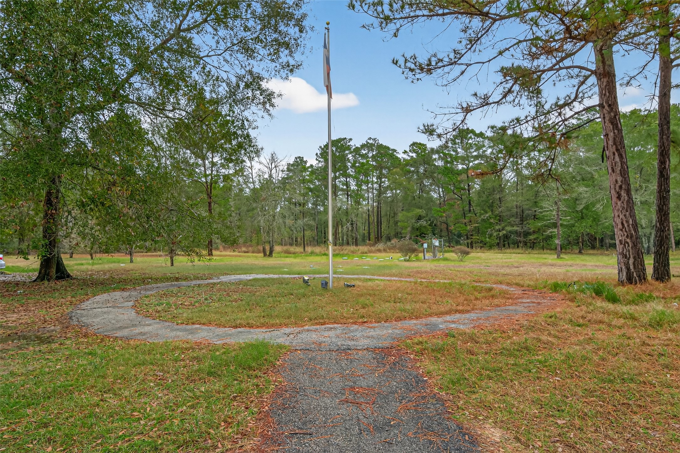 11497 Coon Hollow Road Conroe, TX 77306 - Photo 24 of 45 a view of a park