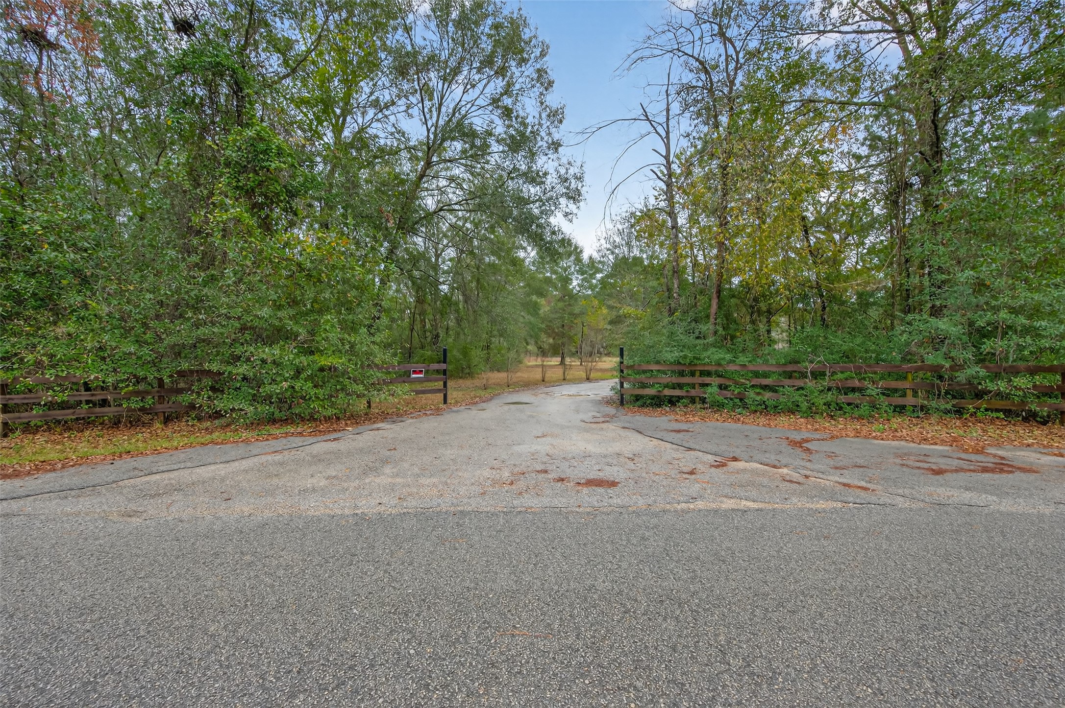 11497 Coon Hollow Road Conroe, TX 77306 - Photo 25 of 45 a view of a road with a trees