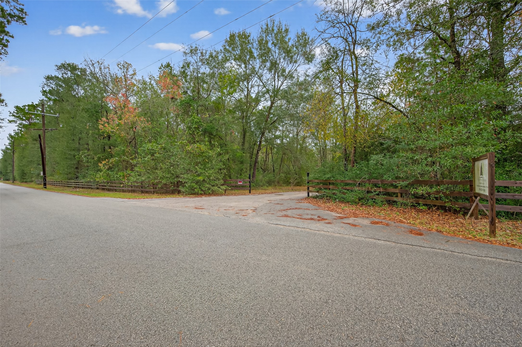 11497 Coon Hollow Road Conroe, TX 77306 - Photo 26 of 45 a view of a road with a house in the background