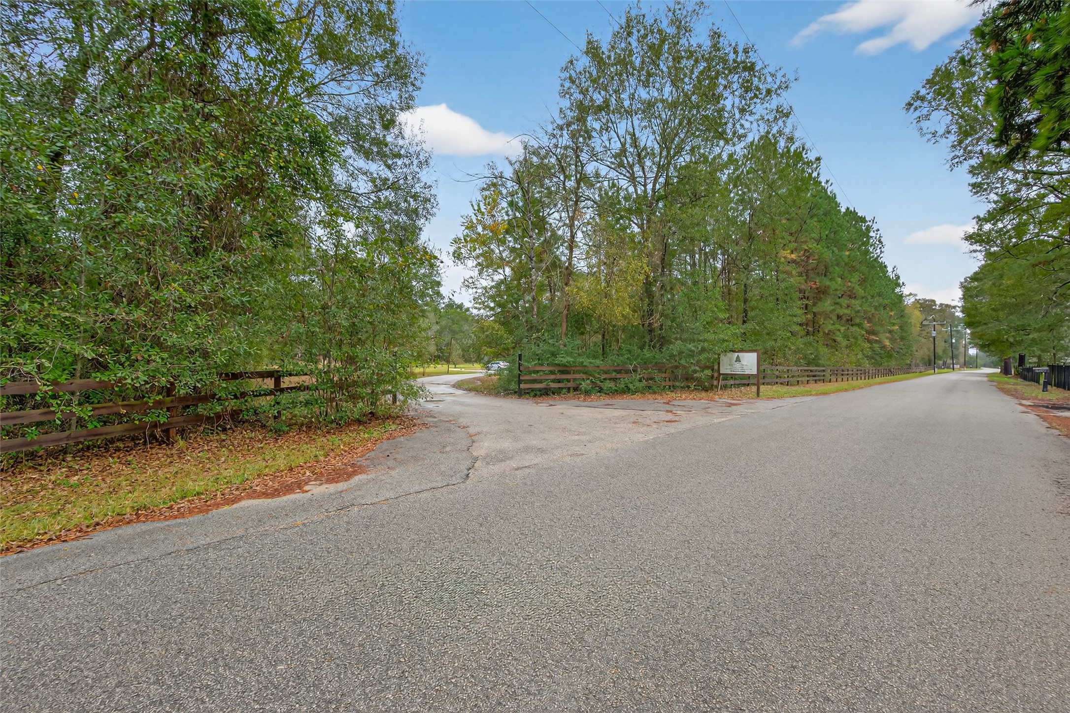 11497 Coon Hollow Road Conroe, TX 77306 - Photo 27 of 45 a view of a road with a yard