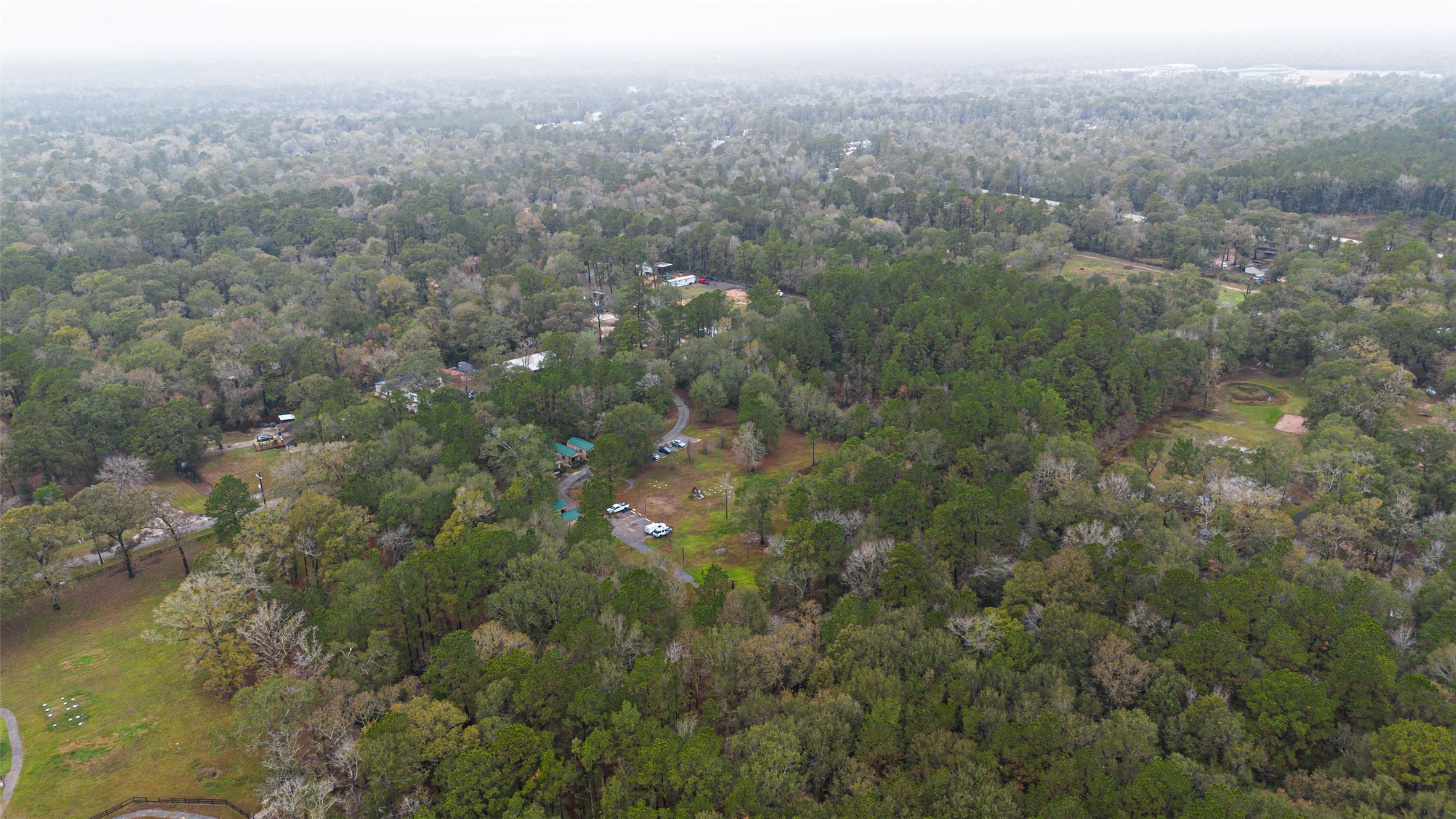 11497 Coon Hollow Road Conroe, TX 77306 - Photo 37 of 45 a view of a forest with a houses