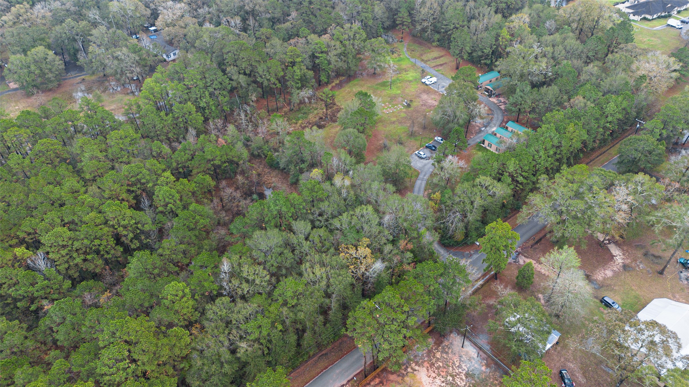 11497 Coon Hollow Road Conroe, TX 77306 - Photo 44 of 45 a view of a forest