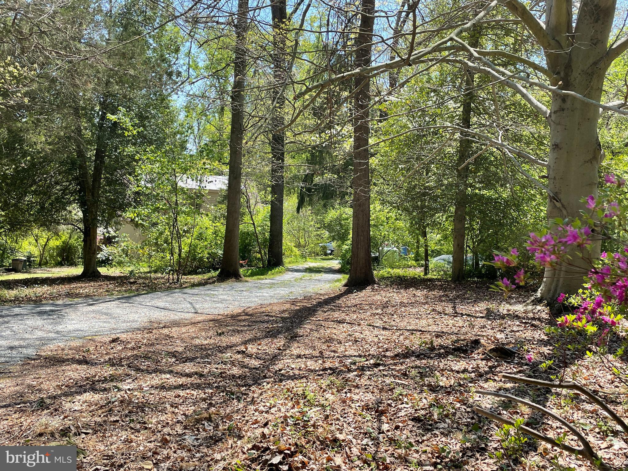 1617 Glenallan Avenue Silver Spring, MD 20902 - Photo 6 of 32 many friends/fam can park here