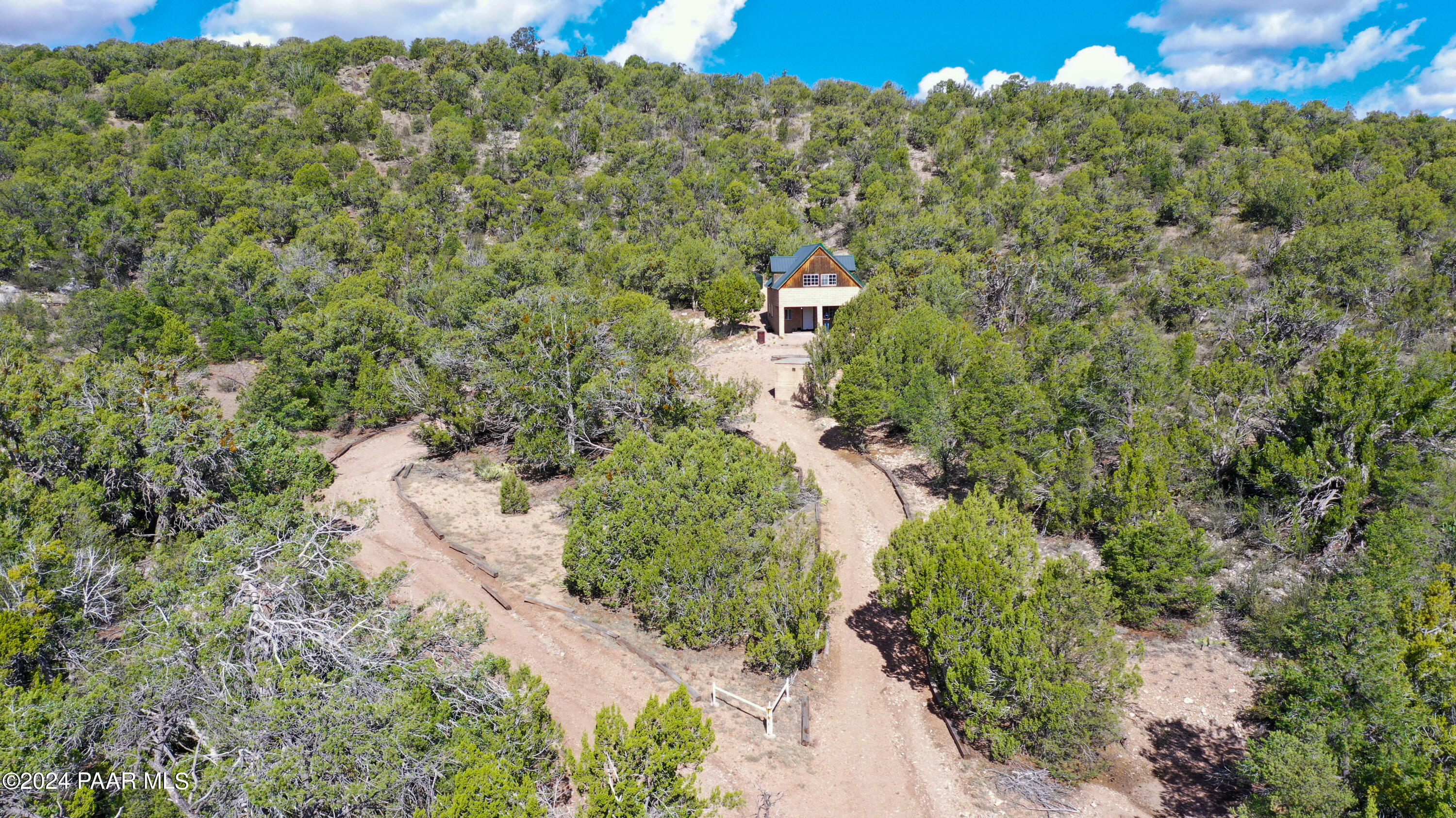887 North Whiskey Way Seligman, AZ 86337 - Photo 28 of 36 a view of a bunch of trees and bushes